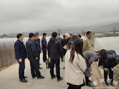 鄭州商品交易所深入天水開展馬鈴薯產(chǎn)業(yè)調(diào)研，助力期貨市場(chǎng)服務(wù)鄉(xiāng)村振興