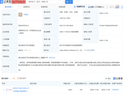 萊克電氣武漢布局新動向:全資子公司盛大開業(yè),瞄準(zhǔn)家電市場新機遇!